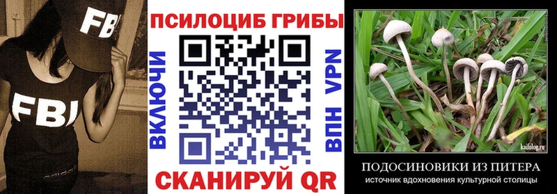 Галлюциногенные грибы Psilocybe  darknet формула  Шимановск  omg ссылка 